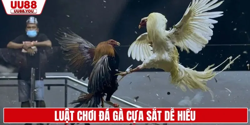 Luật chơi chọi gà cựa sắt tại UU88 dễ hiểu