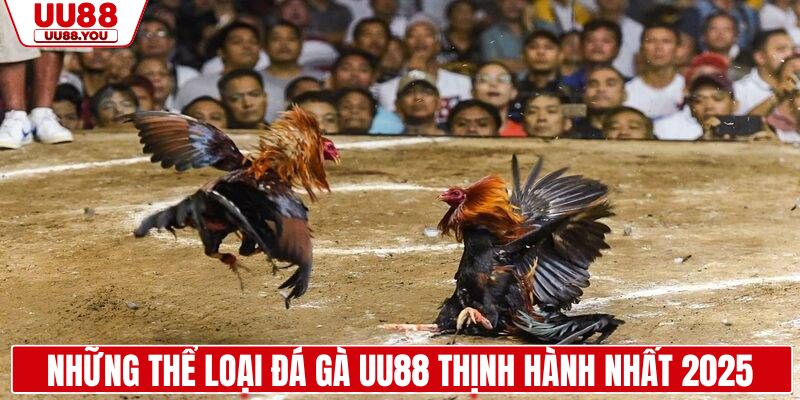 Những thể loại đá gà UU88 thịnh hành nhất 2025
