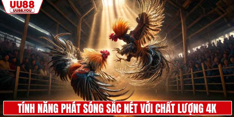 Tính năng phát sóng sắc nét với chất lượng 4K